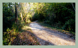 Fall Colors on the Trail